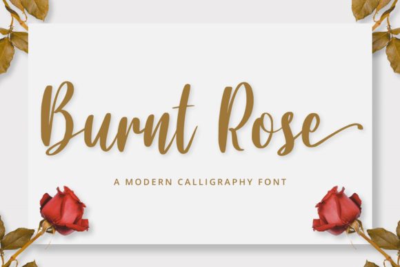 A Designer’s Review of the Burnt Rose Font
