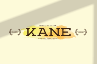 Kane Font Review: A Designer’s Favorite Slab Serif