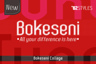 Why Bokeseni College is a Perfect Font for Modern Website Headlines